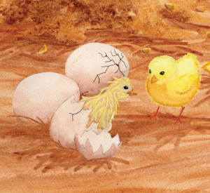 Chick hatching RGB