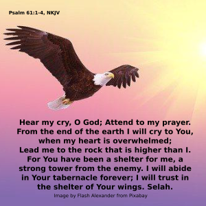 Psalm 61 eagle