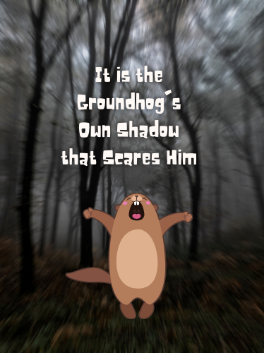 groundhog-sees-his-shadow