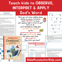 Teach kids to observe, interpret, and apply God's Word with 90 fun and engaging puzzles and activities.